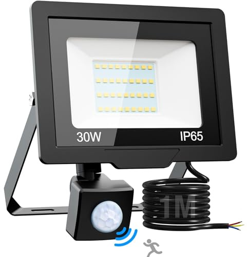 nipify LED Strahler mit Bewegungsmelder Außen, 30W 3000LM Fluter Aussenlampe, IP65 Wasserdichte Außenstrahler 6500K Kaltweiß Scheinwerfer mit 100CM Langen Kabel, Flutlicht für Outdoor Garten Innenhöfe