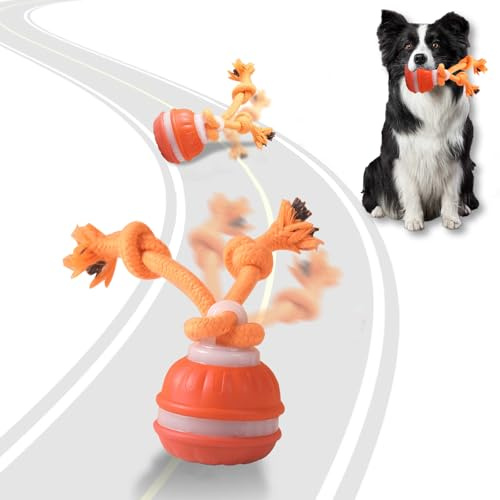 Osinaga Giocattoli interattivi per cani, giocattoli interattivi per cani, giocattoli intelligenti per cani, per noia, con movimento automatico, per cani di taglia piccola, media e grande