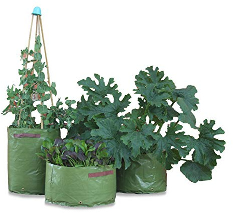 Tierra Garden Haxnicks Växtpåse för grönsaker