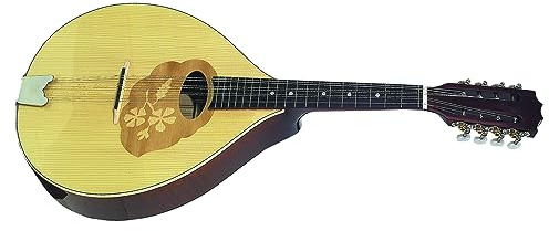 GEWA Mandola Pro Arte - Mandola plana - Forma portuguesa - Tapa de abeto macizo - Fondo/aros de arce macizo - Tapa de juego de madera incrustada - Fabricado en Europa