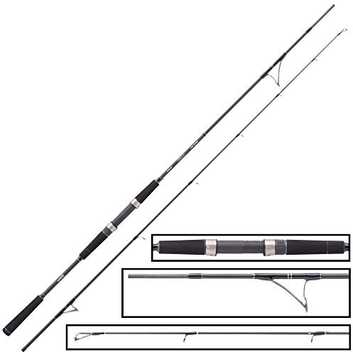 Balzer 71 North Baltic Sea 2,10m 30-125g - Pilkrute zum Meeresangeln auf Dorsche & Seelachse, Meeresrute, Dorschrute, Angelrute