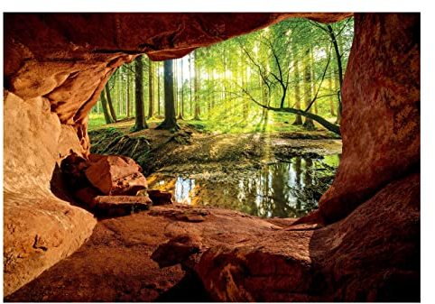 WallArena - Vlies Fototapete Wald Bach Sonne Höhle Natur Landschaft 416x254 cm - Fototapeten - Tapeten - für Wohnzimmer Schlafzimmer - Vliestapete Wandtapete Tapete 3D Effekt- inkl. Kleister