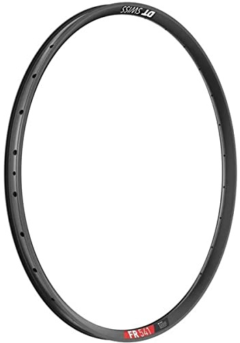 DT Swiss Unisex – Erwachsene Fr 541 Felge, Schwarz, 29