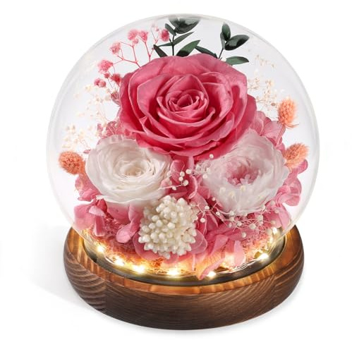 FIACO Gifts for Mom Mother Day Preserved Flowers in Glass Dome Long-Lasting Eternal Rose Birthday Gifts for Women Grandma Wife Sister Girlfriend Pink Flowers for Delivery Prime Anniversary