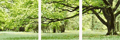 YEESAM ART Neuerscheinungen Malen nach Zahlen 3 teilig bilder für Erwachsene - Grün Trees Bäume Schatten Shade 16 * 16 Zoll Leinen Segeltuch - DIY ölgemälde ölfarben Weihnachten Geschenke (Mit Rahmen)