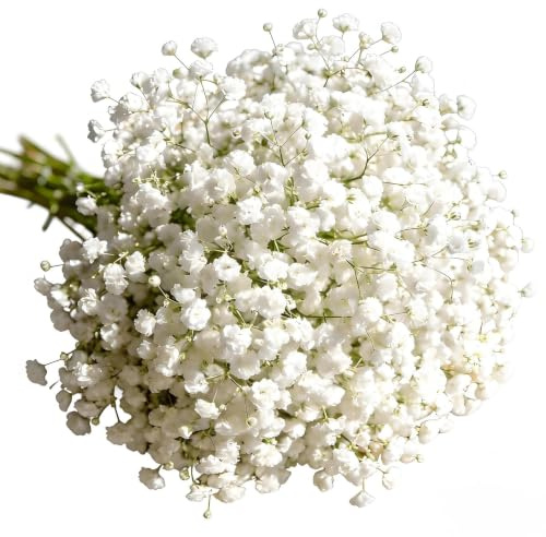 Plumaire 30Pcs Artificial Gypsophila Flowers – Realistic Faux Baby Breath Bouquets, Real Touch Fake White Flowers That Look Real, for Wedding, Party & Home Floral Arrangements Decor