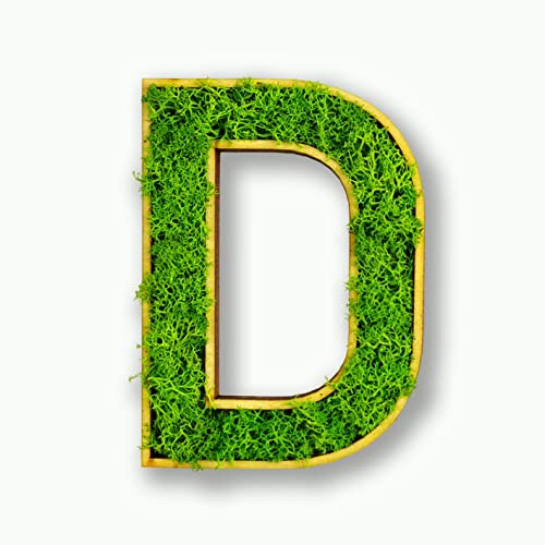 Acryltypo Moosly® Holzbuchstabe – D - mit Rahmen aus Holz, Moos Deko Buchstaben Zeichen Symbol Zahl - Holzbuchstabe mit echtem Islandmoos - Wandbilder Wohnzimmer Deko Wand Bilder Wohnzimmer Bilder