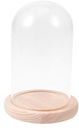 FOMIYES Cristal cúpula cloche mesa centro de mesa Cloche Bell Jar para Rose Display Antigua Figurita decorativa escaparate base madera 10x16cm