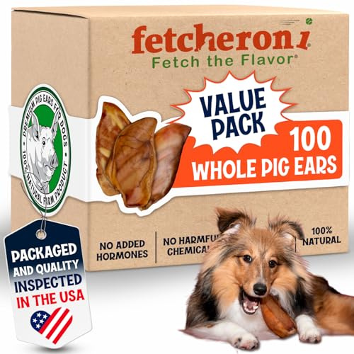 FETCHERONI Whole Pig Ears for Dogs Large - 100 Pack Long Lasting Dog Chews - One Ingredient Delicious All Natural Flavor – Easy to Digest Dog Treat for Large Dogs - Great for Teeth and Gums