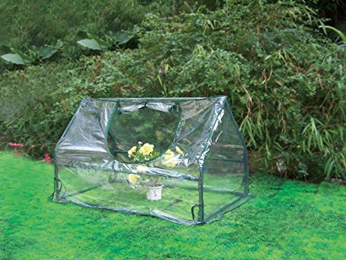 Biotop B2073 - Mini Invernadero Exterior de Suelo, con Cubierta Transparente de PVC y Estructura de Acero, Ideal para Terrazas y Balcones - 100 x 60 x 60 cm y 1,46 kg