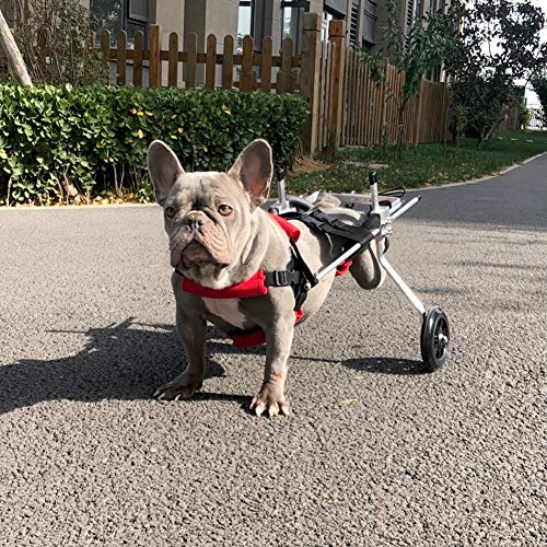 Cora Pet Hunde Wagen Rollstuhl Hunderollstuhl für Hinterbein/Hintere Füße Hund Katze Kaninchen, Gehhilfe Hundegehilfe Hunderollwagen, Dog Wheelchair für Haustier mit Einem Gewicht von 5-15 KG
