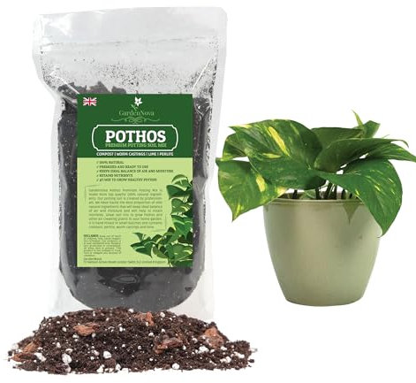 Premium Pothos Potting Soil - Air Cleaning Plant Potting Mix for Pothos, Parlor Palm, Peace Lily - 1 Liter Bag