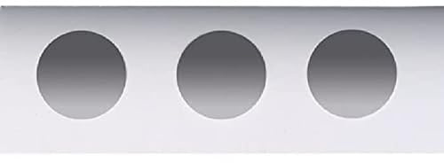 neoLab 1-6295 Objektträger mit 3 Vertiefungen, 76 mm x 26 mm (5-er Pack)
