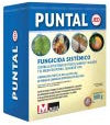 masso puntal fungicida sistemico 500gr.