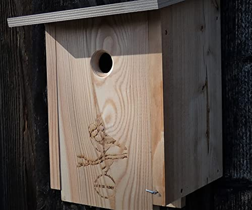 Premium Natur Lärchenholz Nistkasten unbehandelt nach Nabu, massives Vogelhaus Nisthilfe wetterfest 18mm stark verschraubt, mit Befestigungsmaterial (Baumschonende Alunägel) (Blaumeise mit 1 Loch)