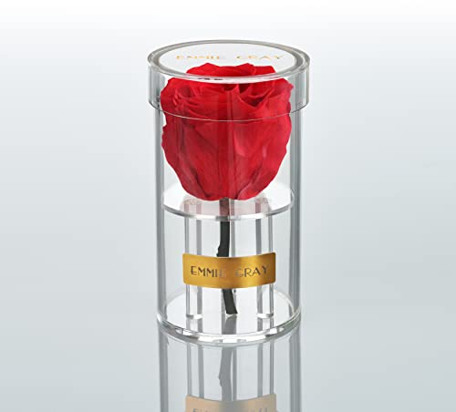 EG EMMIE GRAY Crystal Infinity | Acryl | – Traumhafte Infinity Rose, 1-3 Jahre haltbare Rose, Acrylgefäß mit echter, konservierter Rose, edle Premiumrose (Vibrant Red)