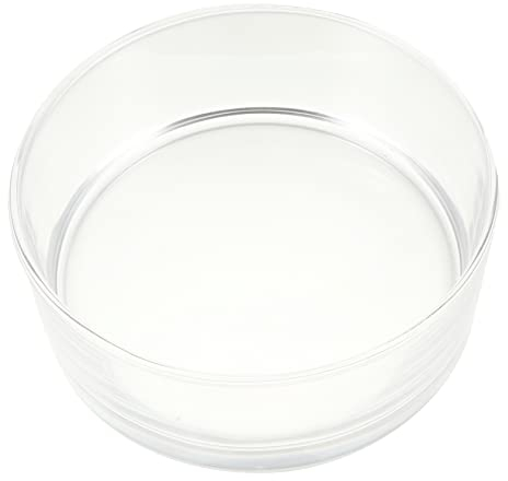 Happyyami Maceta De Transparente para Plantas De Aire Maceta De Vidrio Hidropónica De Sobremesa para Decoración Interiores
