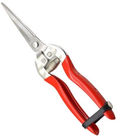 Euyehn Tijeras De Jardinería - Tijeras De Jardinería De Acero Inoxidable Y Herramientas Para Bonsáis | Podadoras Para Plantas De Árboles Frutales Uvas Enredaderas Y