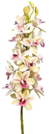 HUFFA Orquídea de simulación Realista - Phalaenopsis, Flor de Seda for decoración del hogar(EastAramlightgreen)