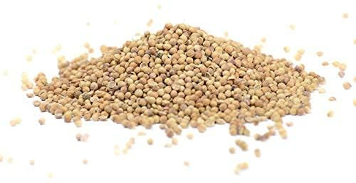 Koriandersamen ganz 500g | Koriandersaat | Koriander ganz | Koriander Samen | Koriander | Gewürz | reine Saat | Korianderkörner | ganze Körner | Gerüche-Küche |