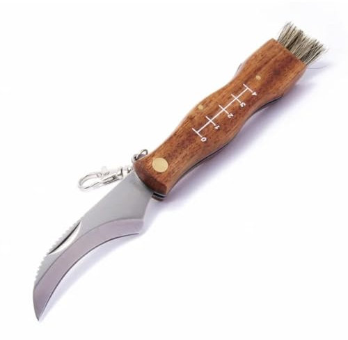 IKOPFLN Coltello in Acciaio Inox per Funghi - Micologica Aperta
