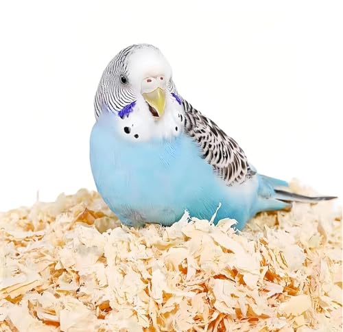 MANON ROSA Kleintierstreu – natürliche Pappel Weichholz Späne Haustierstreu – geringe Staubgeruchskontrolle für Vögel, Papageien, Sittiche, Meerschweinchen, Kaninchen, Hamster (0,5 kg)