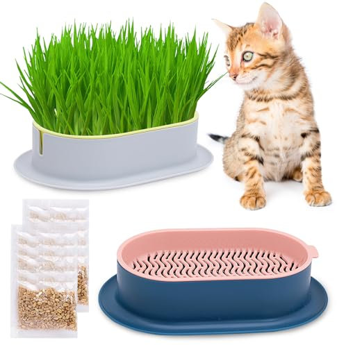 TULEBOLIAN HidroponíA Bandeja para Hierba De Gato,Plantador De Hierba De Gato,con Revestimiento De PláStico,Kit HidropóNico Caja De Hierba para Gatos,para Perros Gatos Y Mascotas