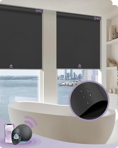 Graywind Smart Blinds Work with Alexa, Waterproof Motorized 100% Blackout Shades with Zigbee Motor, Customized Automatic Electric Window Blinds with Remote Control, Dark Grey