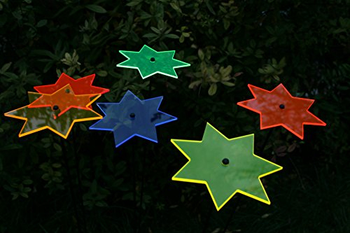 sabro-design 6er-Set Sterne Sonnenfänger Ø14cm Stab 100cm Weihnachten Weihnachtsstern