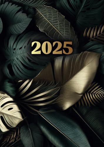 Tagesplaner 2025: 1 Tag auf 1 Seite, Organisator mit Uhrzeit von Januar bis Dezember, Buchkalender A4