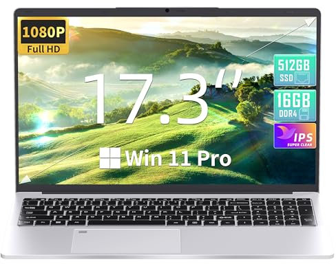 Fsjun17.3 Zoll Laptop, Celeron N5095 bis 2,9 GHz, 16GB RAM, 512GB SSD, FHD IPS, Fingerabdruck, Beleuchtete Tastatur, Mini HDMI, 3× USB 3.0 (Silber, 16+512GB)