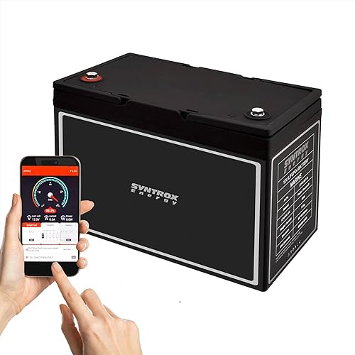 Syntrox Germany Lithium LiFePO4 Batterie, Batterie-Management-System, Hohe Kapazität Batterie, Leichtgewichtige Langzeitbatterie, für Freizeitfahrzeuge (80Ah)