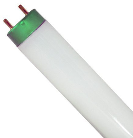 Philips 281550 F32T8/TL841/ALTO 32 Watt T8 lumens 2.950 4100K Cool White 48in Case of 30