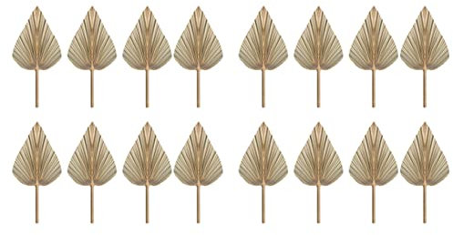 Janasiba 16 hojas secas de palma, abanicos secos, lanzas de palma secas bohemias, plantas artificiales, hojas de palma, hojas de palma tropicales