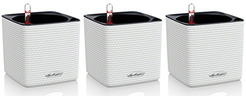 Lechuza Cube Color 14 Pflanzgefäß mit ERD-Bewässerungs-System, Weiß, 14 x 14 x 14 cm, 3er-Set
