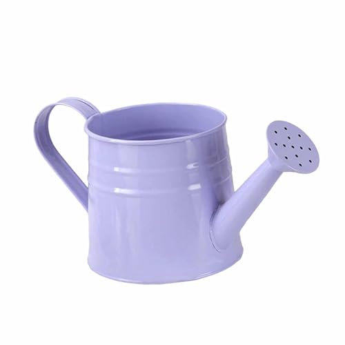Folpus Mini arrosoir en métal 24.5x11.5cm, Pot de Fleurs Rustique Multifonctionnel pour Balcon Jardin, Maison Bureau Robuste, Violet