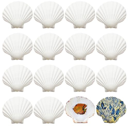 16 Piezas Conchas De Mar Decoracion Grandes, Concha De Vieiras Grande, Marinas Conchas Naturales, Vieira De Concha Grande Blancas Para Artesanías Bodas Decoran Fiestas Temáticas De Playa, Peceras