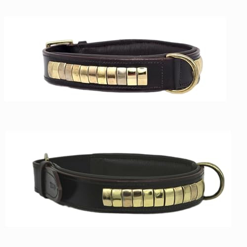 Dolf Lederhalsband Schwarz o Braun Messing Beschläge Gold Farben S M L XL Tysons Breit ! (L, Schwarz)