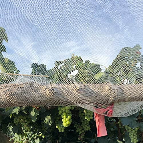 Drahtgitter Maschendraht Gartenzaun Weinbergnetz, Weißes Garten-Nylonnetz, Strapazierfähig, Faltbar, Extra Großes Vogelnetz Für Blaubeersträucher/Obstbäume/Gebäude Hasendraht Volierendraht
