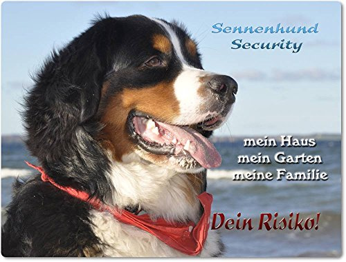 Warnschild - Schild aus Aluminium 20x30cm - Motiv: Berner Sennenhund Security ( 01 )