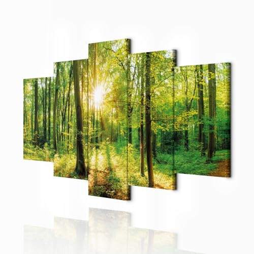 decomonkey Impression sur Toile Foret 100x50 5 Pièces Cadre en Bois Maison | Tableau decoration murale, Déco Salon, Peinture sur Toile, Lueur arbres paysage forêt nature plantes soleil vert