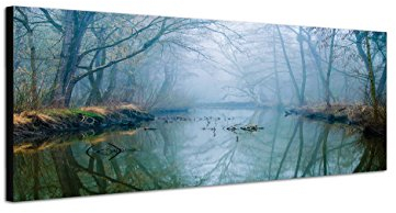 Augenblicke Wandbilder Keilrahmenbild Wandbild 150x50cm Wald Bäume Fluss Nebel Dunst