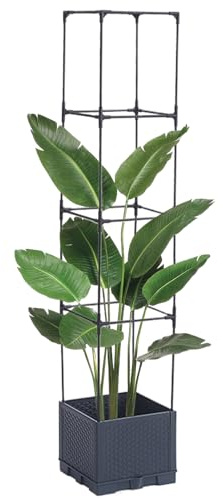 Tralicci da giardino, per rampicanti per pomodori, antiruggine, autoportante, rustico, decorativo, per orto, cetriolo, uva, uso su patio, balcone
