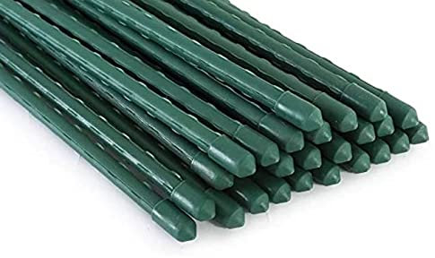 G&B 25 Pack Garden Stakes 11MM Plant Stakes Sturdy Plant Support 150cm Long (150)