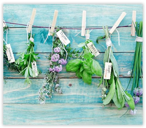 SMTDeco Herdabdeckplatte 60×52 cm – ESG gehärtetes Glas, kratzfest & rutschfest – Spritzschutz & Schneidebrett – für Induktion/Ceranfeld – 1-teilig, Motiv Kräuter Holz Türkis