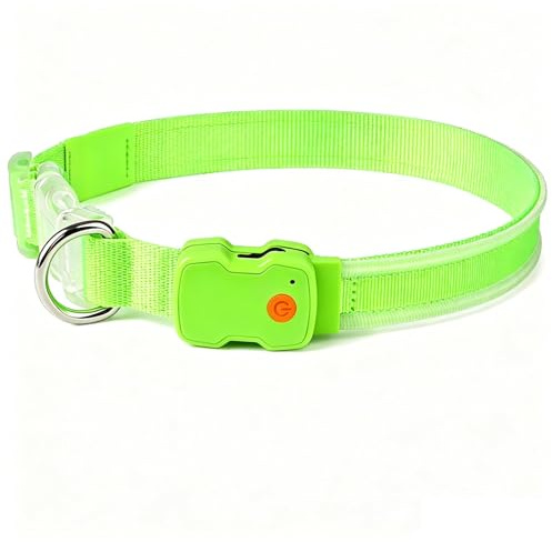 Domigard LED Leuchthalsband Hund USB Aufladbar Wasserdicht Grün M | mit 3 Leuchtmodi, 38-50cm Verstellbar für Mittlere & Große Hunde, Optimale Sichtbarkeit & Sicherheit bei Nacht (Grün, M)