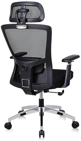 Youhauchair Bürostuhl Ergonomisch