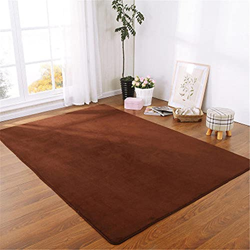 Alfombra de Terciopelo Coral Grueso de Color sólido Calidad Marrón nuevo Suave Lavable Antideslizante Grande Rugs Rug Minimalista Moderna Sala De Estar Dormitorio Tatami Gateando Estera -120×140cm