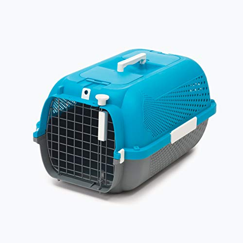 Transportbox für Katzen, Mittel, Türkis