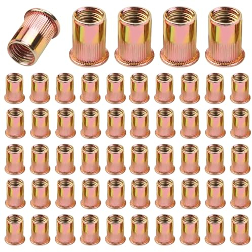 100 Pièces Écrou à Rivet M6 Fileté à Tête Plate, Écrous à Riveter Fileté à Tête, Insert Fileté à Tête Plate En Acier Carbone Zinc, Pour La Fixation De Meubles, Adapté à l'Acier, Au Plastique